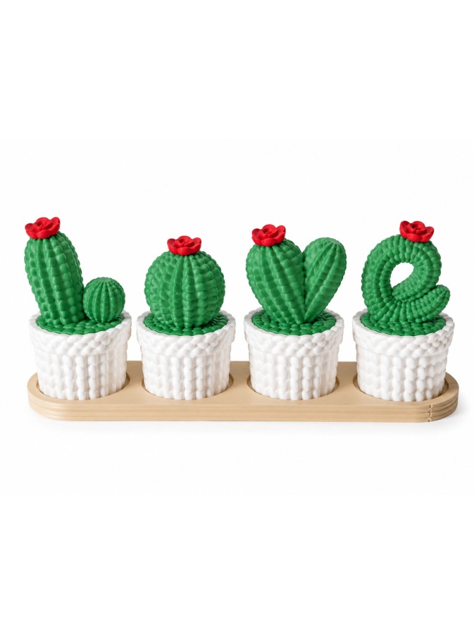 Mini Cactus