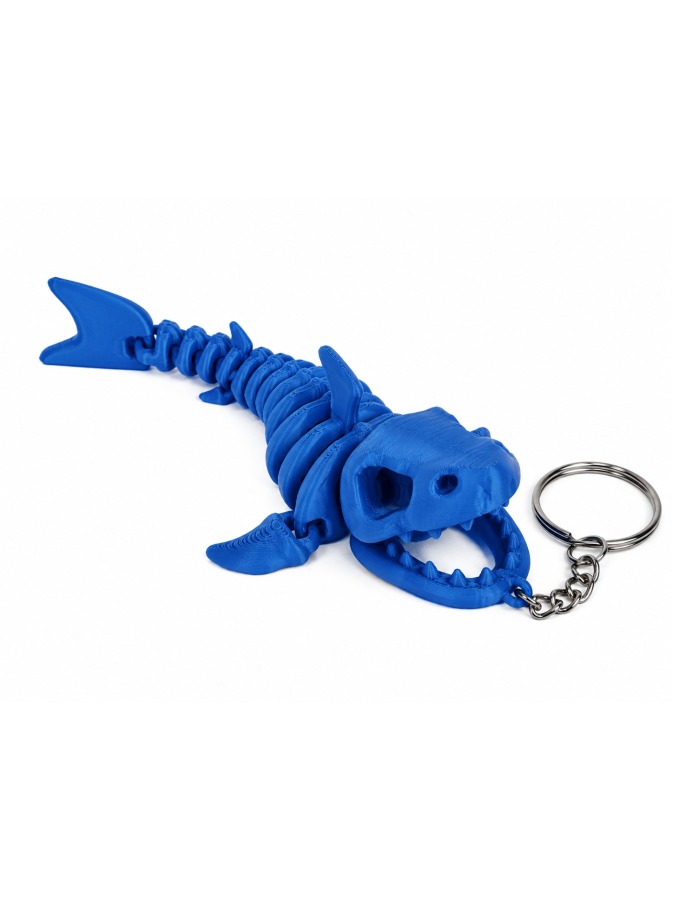 Shark Skeleton