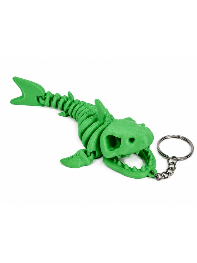 Shark Skeleton