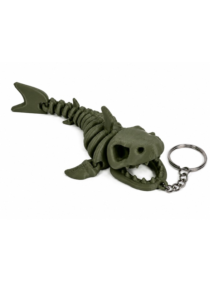 Shark Skeleton