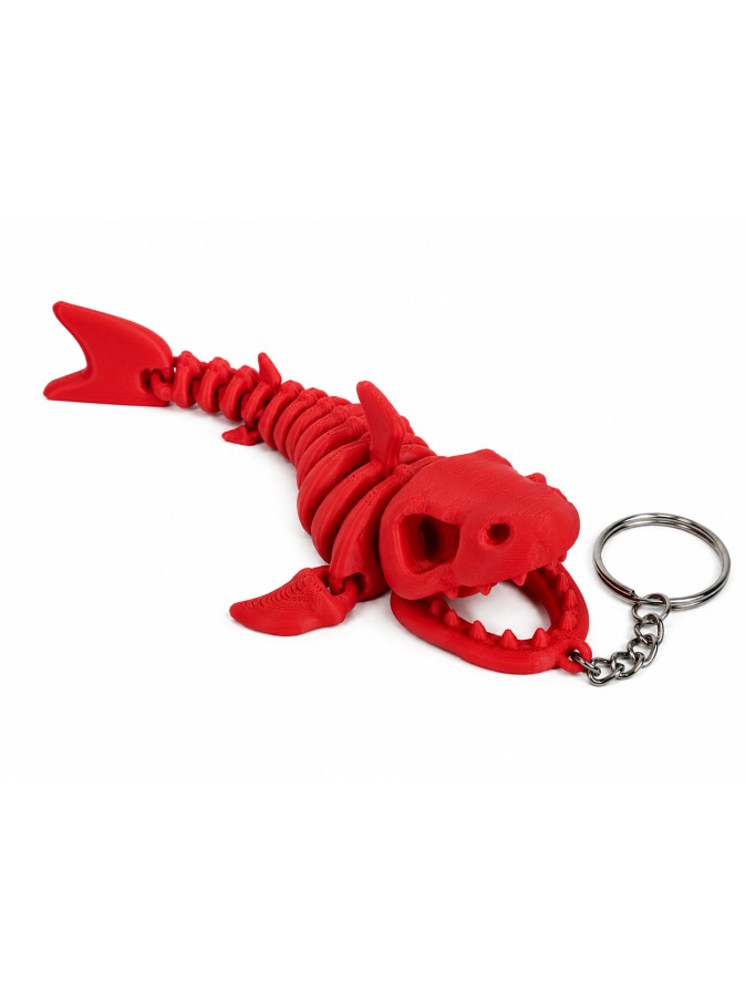Shark Skeleton