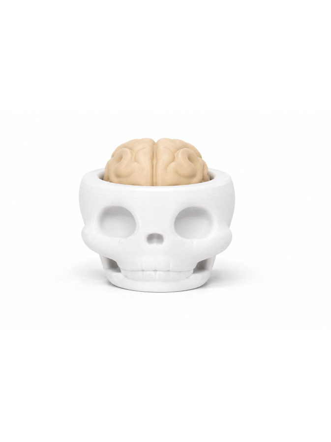 Skull Brain