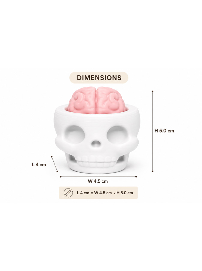 Skull Brain