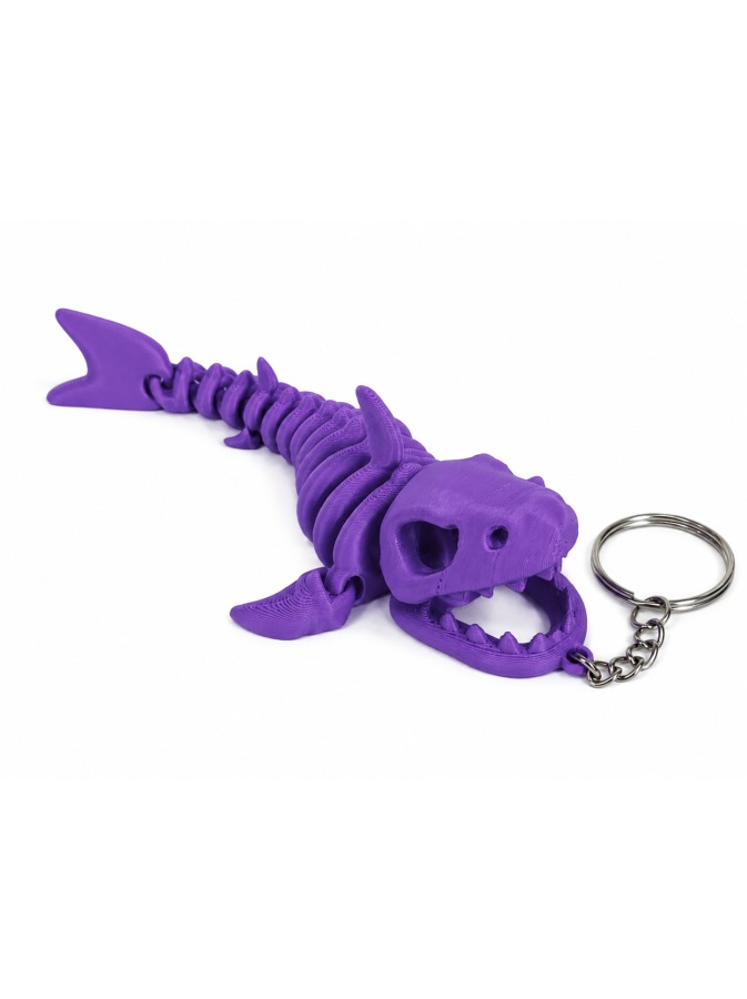 Shark Skeleton