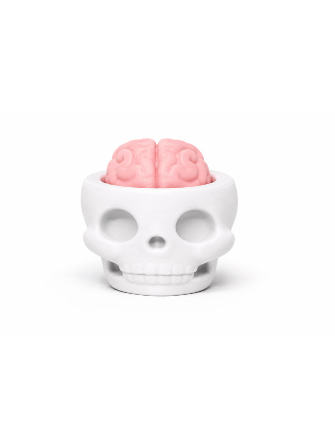 Skull Brain