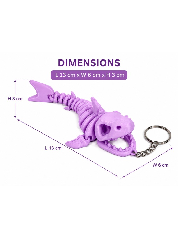 Shark Skeleton
