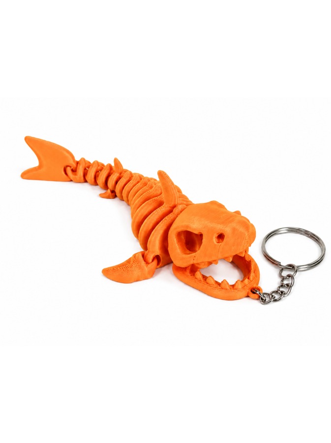 Shark Skeleton