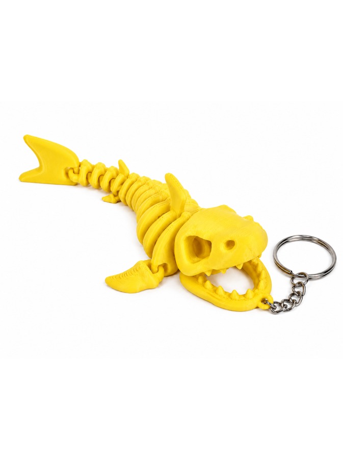 Shark Skeleton