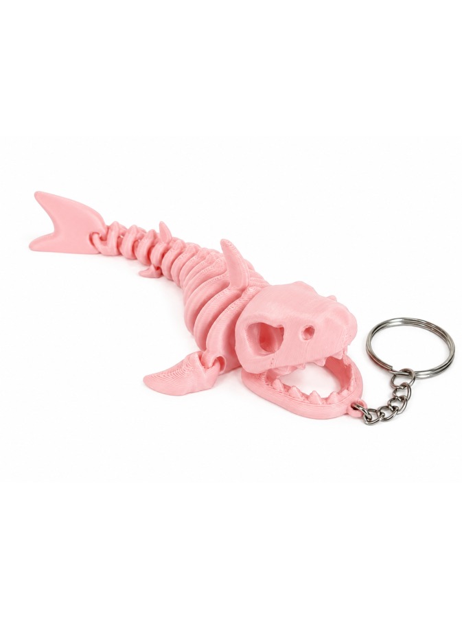 Shark Skeleton