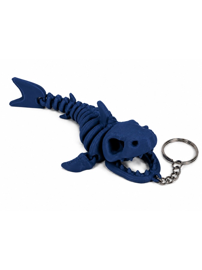 Shark Skeleton