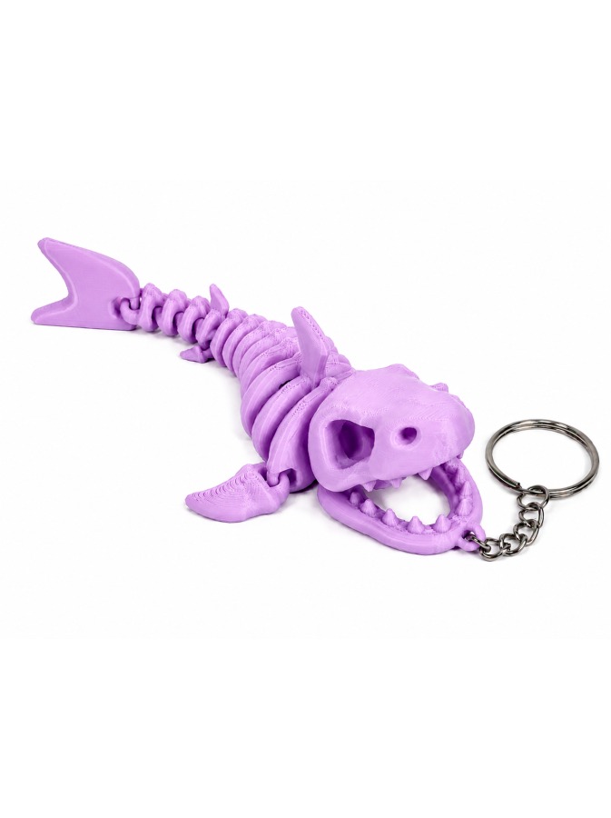 Shark Skeleton